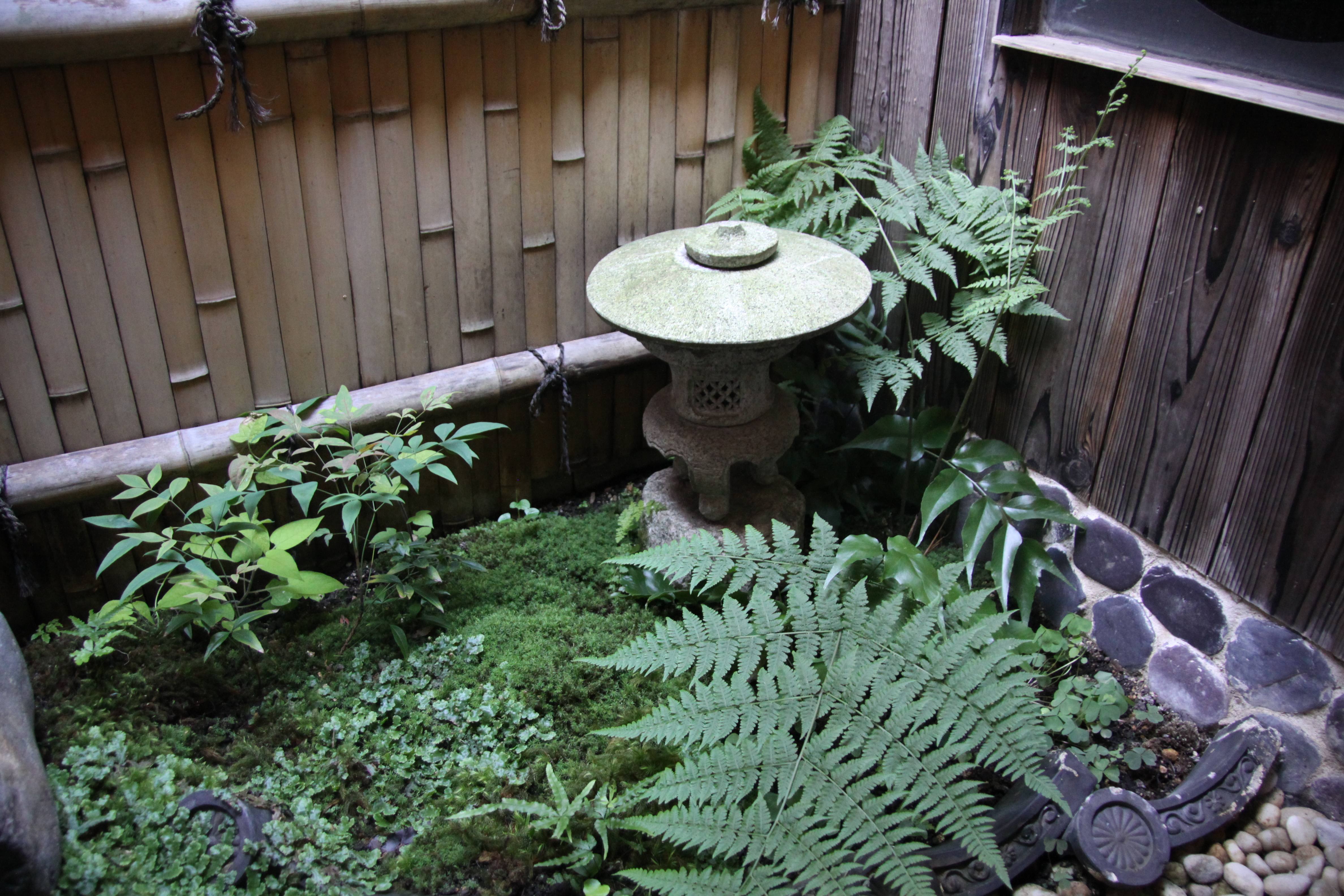 Shirakawa canal romantic riverside walk at golden hour